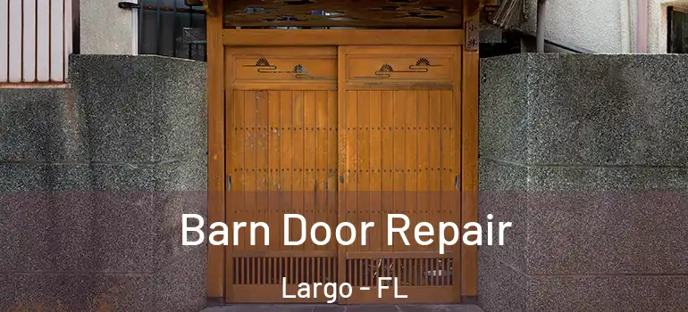  Barn Door Repair Largo - FL