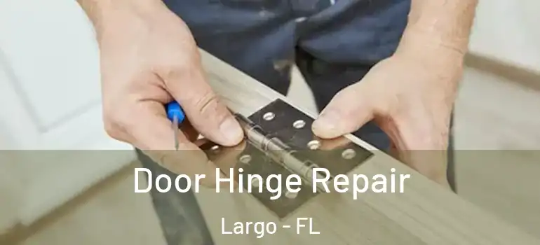 Door Hinge Repair Largo - FL