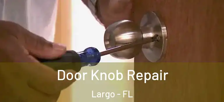  Door Knob Repair Largo - FL