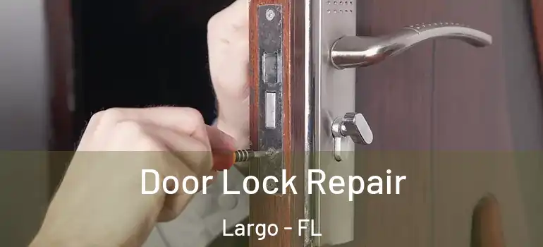  Door Lock Repair Largo - FL