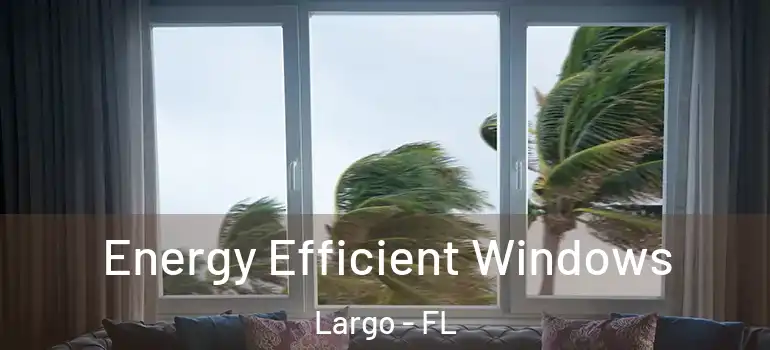  Energy Efficient Windows Largo - FL