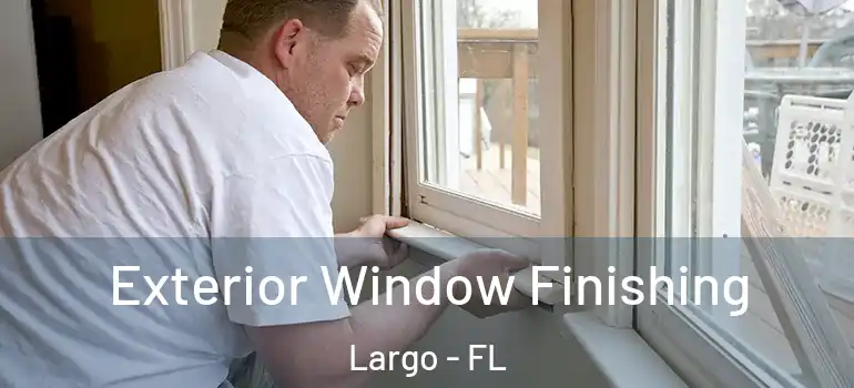  Exterior Window Finishing Largo - FL