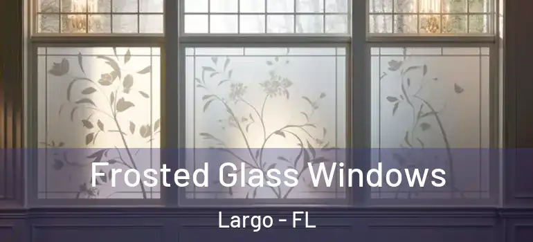  Frosted Glass Windows Largo - FL