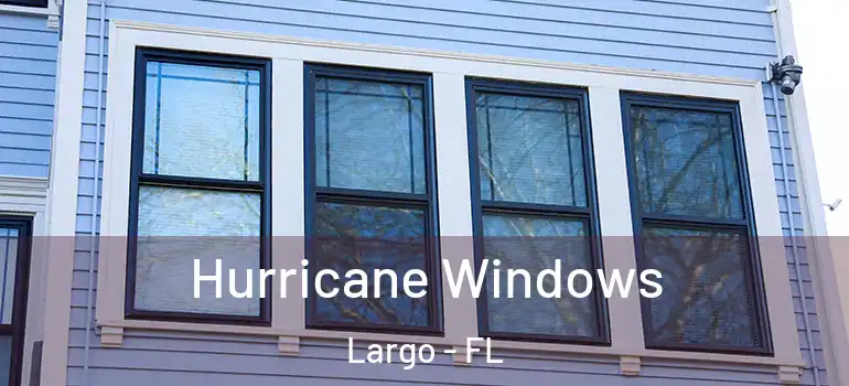  Hurricane Windows Largo - FL