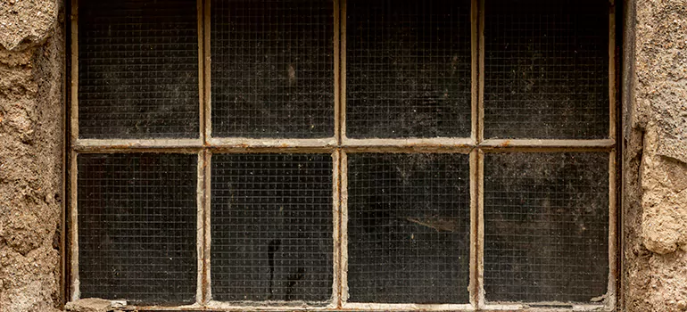 Traditional Double Front Doors in Largo, FL