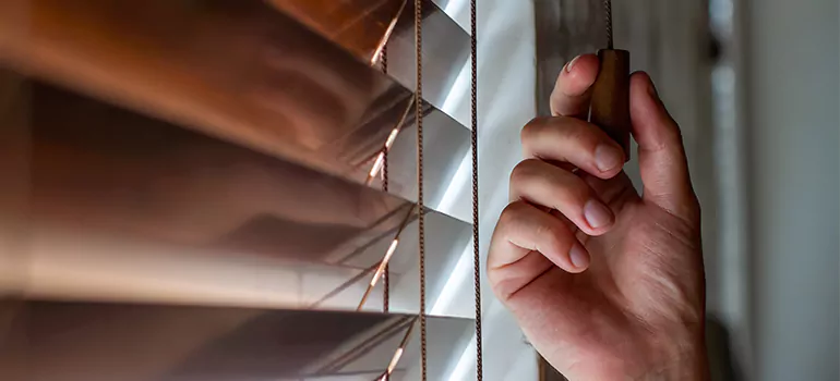 Double Roller Blinds in Largo, FL