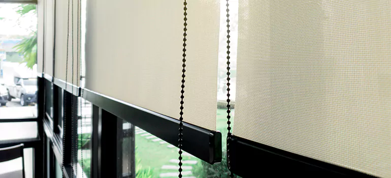 Blackout Window Shades in Largo, FL