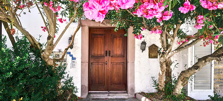 Traditional 4 Panel Internal Doors in Largo, FL