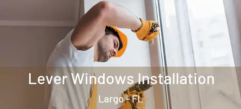  Lever Windows Installation Largo - FL
