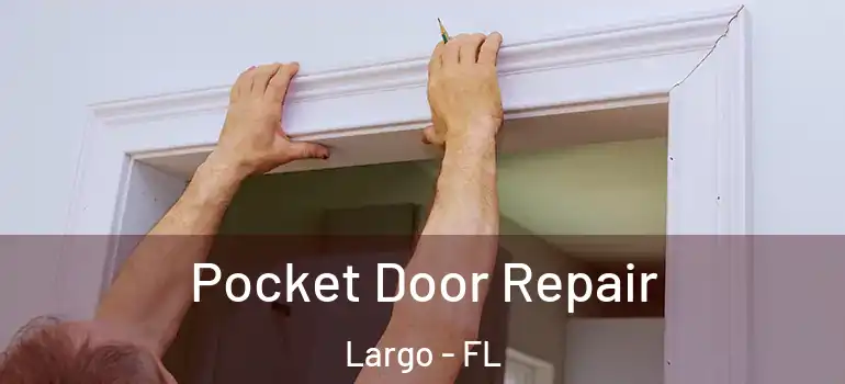  Pocket Door Repair Largo - FL
