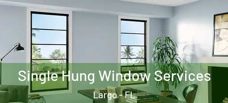  Single Hung Window Services Largo - FL