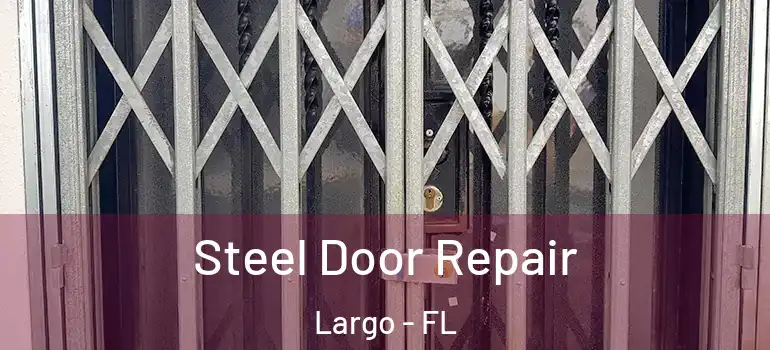  Steel Door Repair Largo - FL