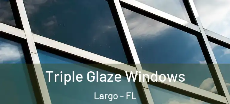  Triple Glaze Windows Largo - FL
