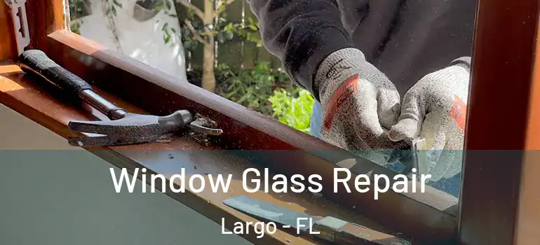  Window Glass Repair Largo - FL