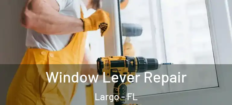  Window Lever Repair Largo - FL