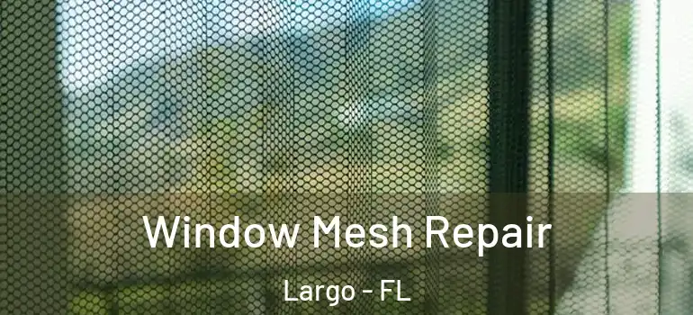  Window Mesh Repair Largo - FL