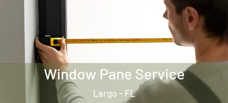  Window Pane Service Largo - FL