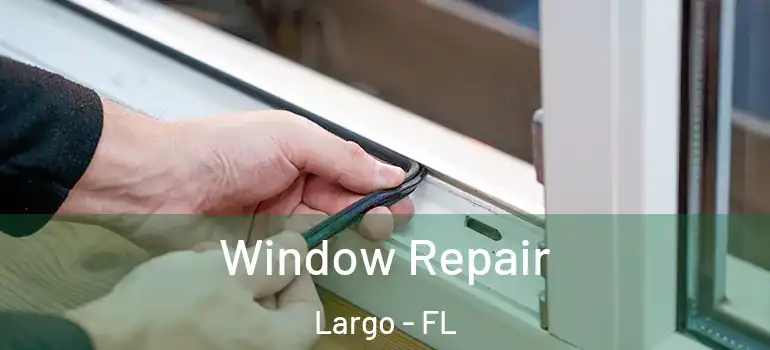  Window Repair Largo - FL