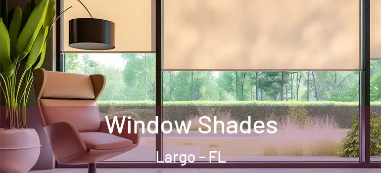  Window Shades Largo - FL